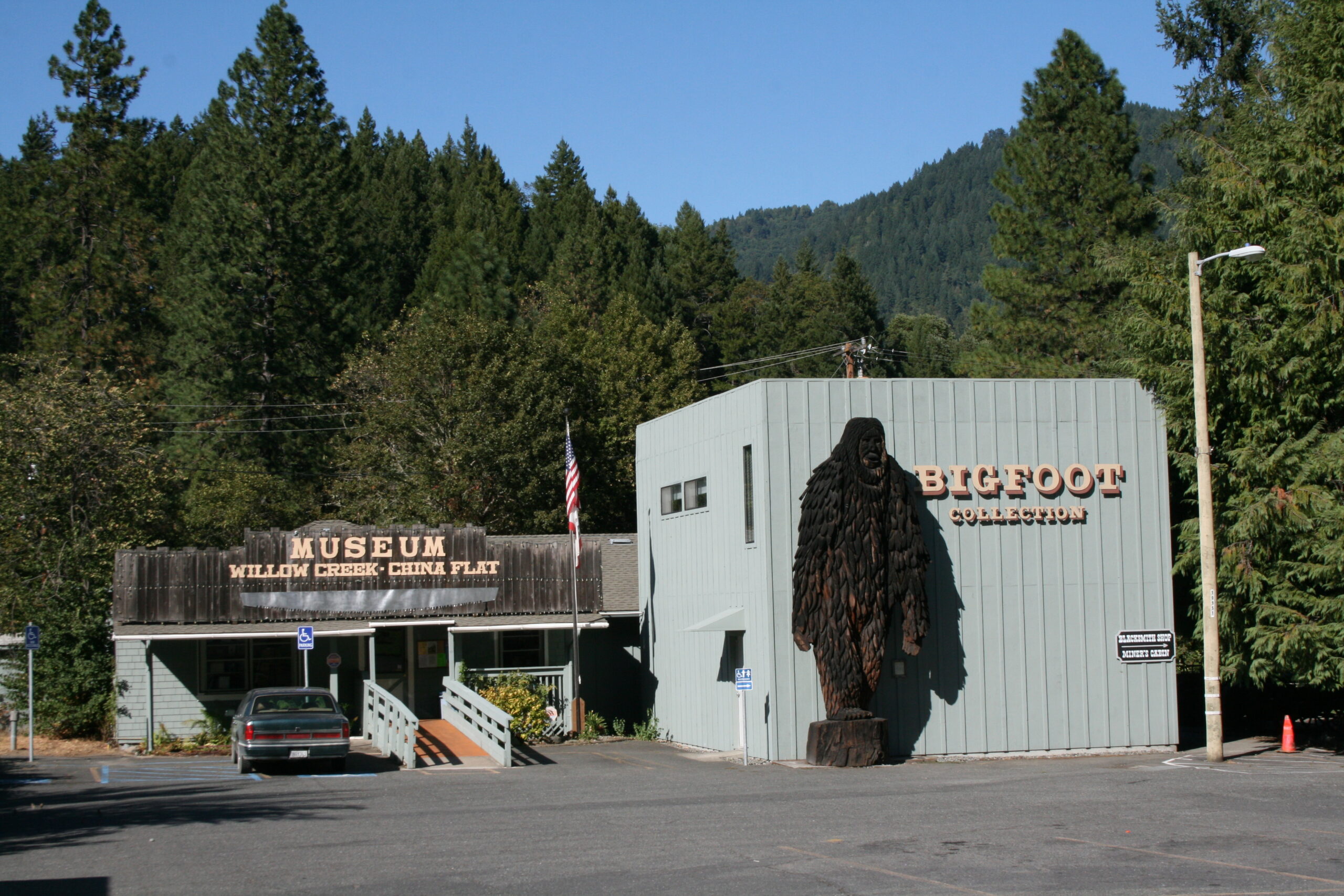 Bigfoot: americká legenda mezi stopami, filmem a folklorem