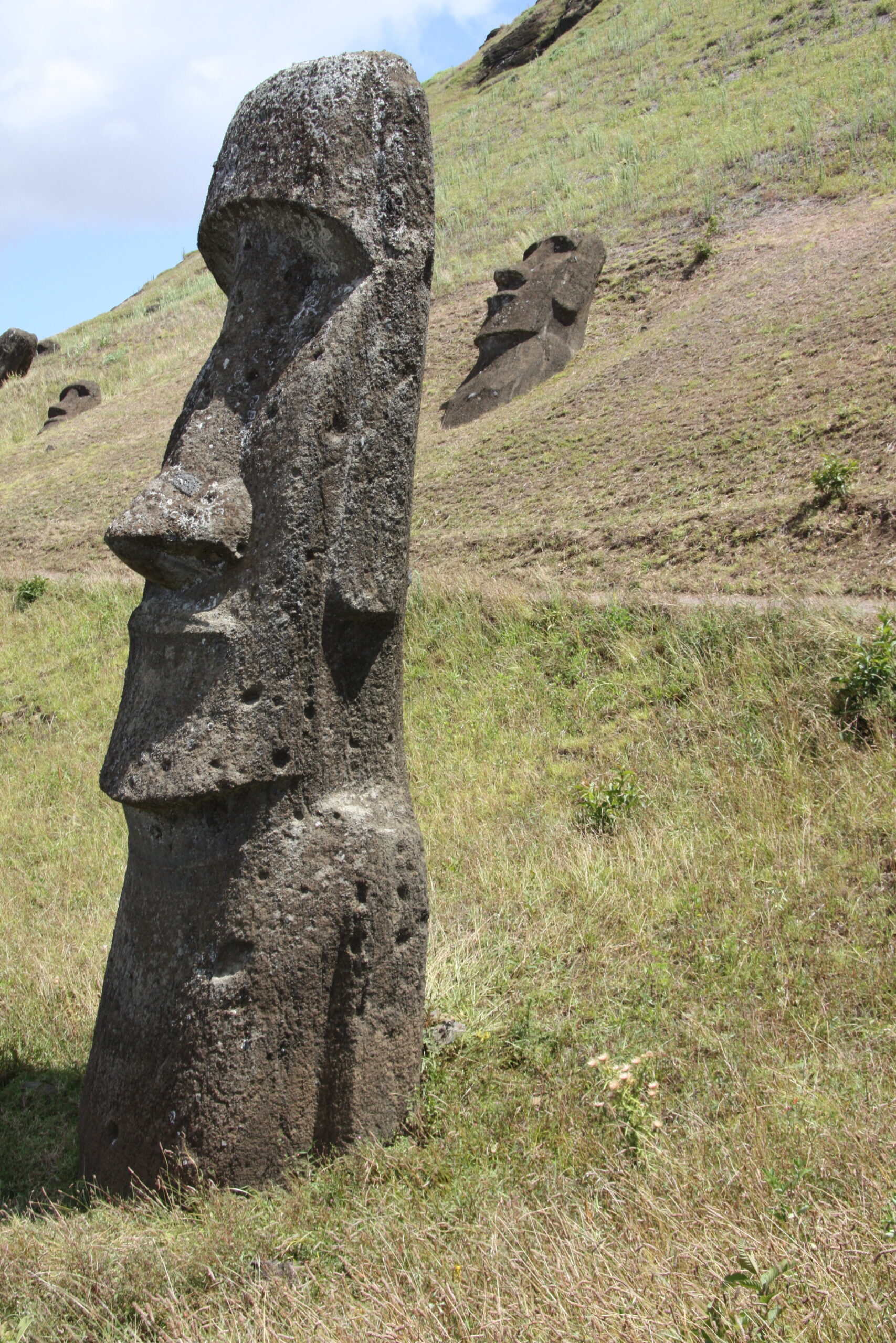 Moai v Rano Raraku na Rapa Nui, stále v oblasti, kde byl vytesán
