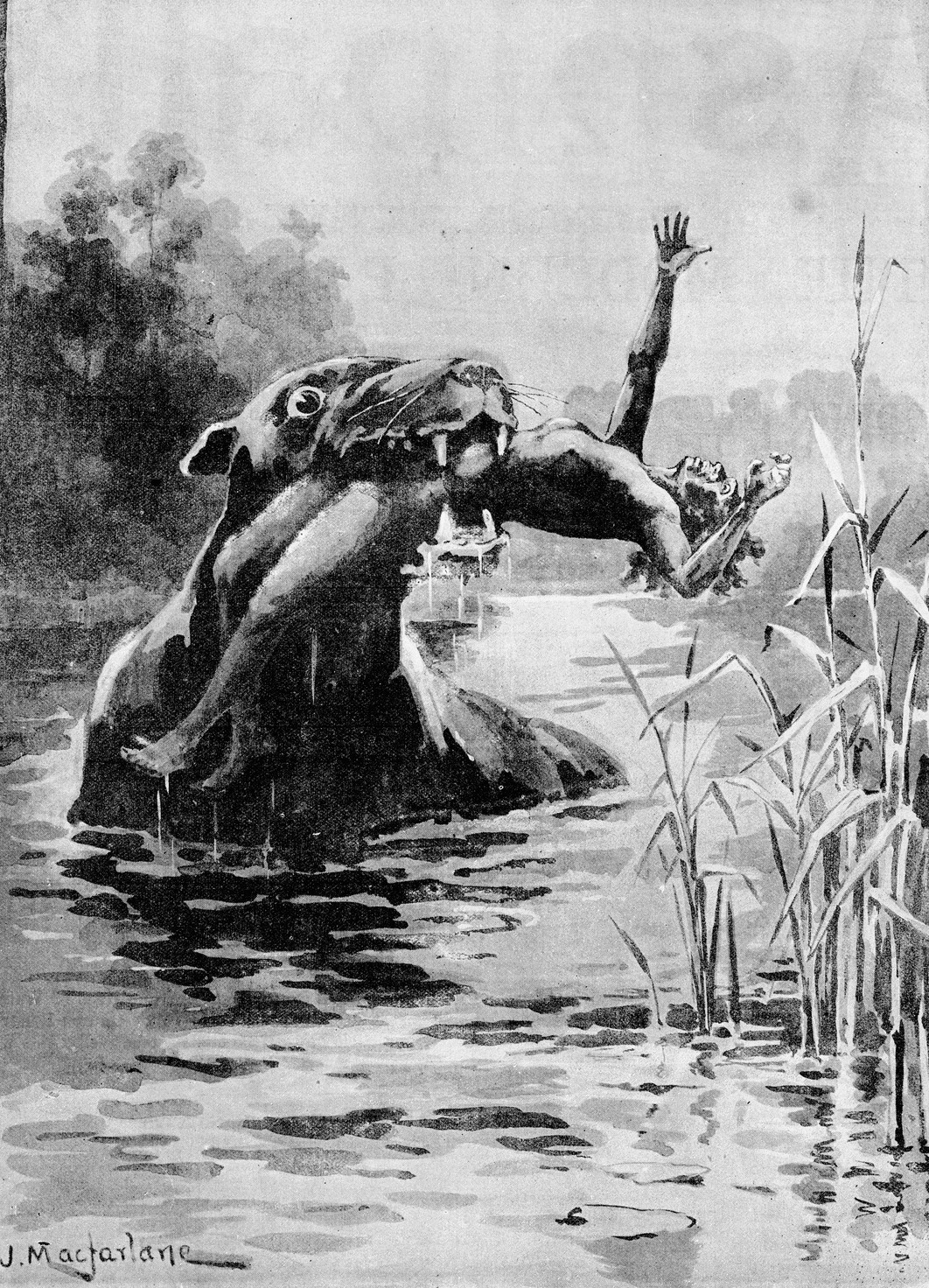 Bunyip: jak se domorodé příběhy a koloniální zprávy proměnily v australskou kryptidní legendu