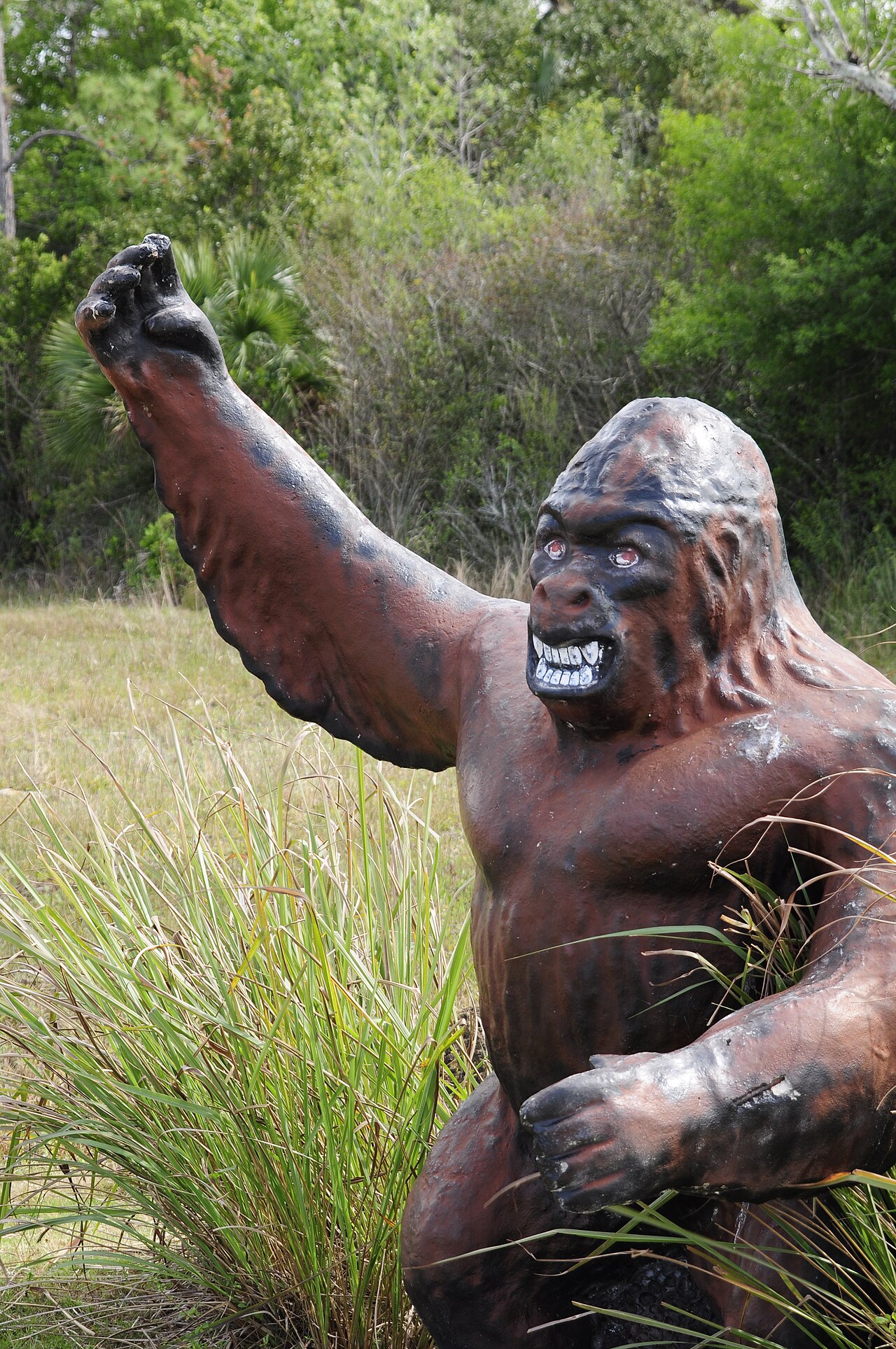 Skunk Ape: floridská legenda o chlupatém tvorovi mezi hlášeními z Everglades a chybějícím biologickým důkazem