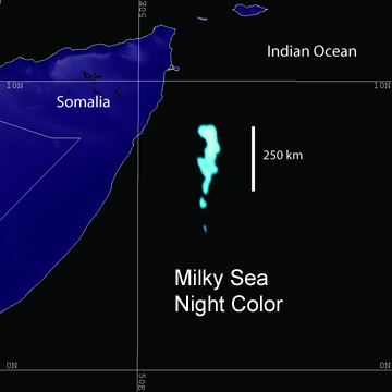 Mléčná moře: obrovské plochy svítícího oceánu, satelitní pozorování a role bioluminiscenčních bakterií