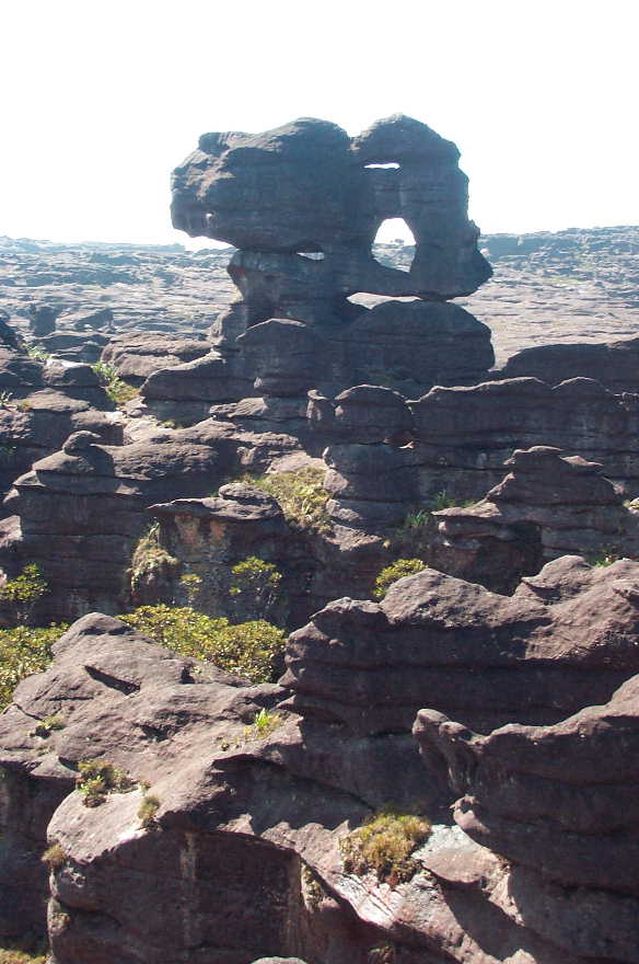 Mount Roraima: stolová hora nad Guyanskou vysočinou mezi geologií, endemity a legendami o ztraceném světě