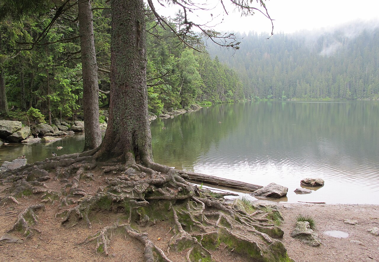 Čertovo jezero na Šumavě: ledovcový původ, černá voda a pověst o ďáblovi uvězněném pod hladinou