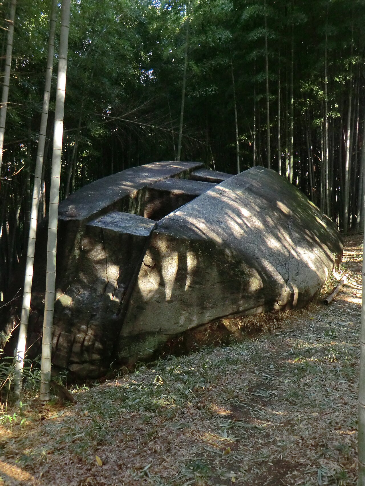 Masuda no Iwafune: obří vytesaný balvan v Asuce a otázka, zda šlo o základ stavby, hrobku nebo nedokončený monument