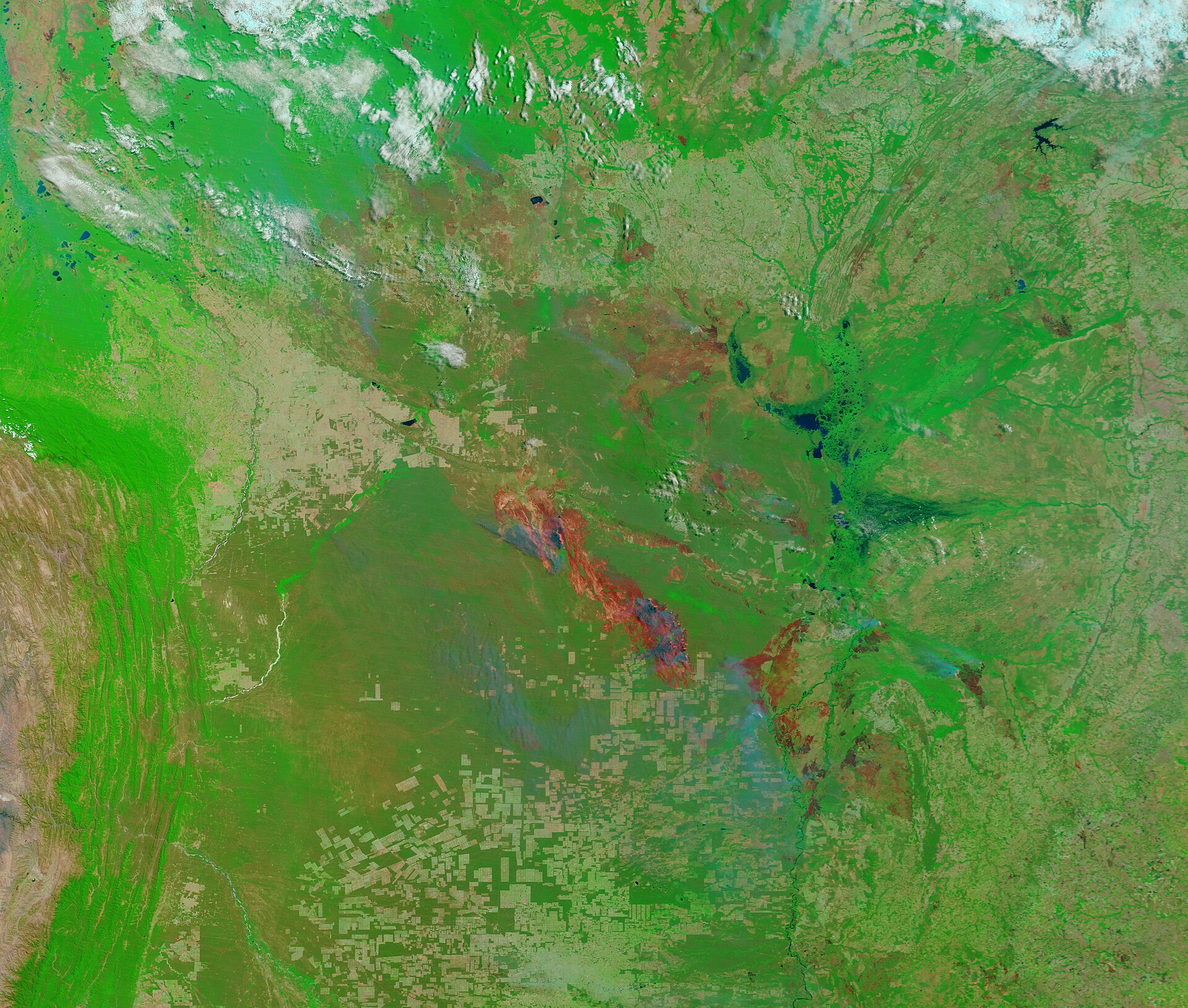 Geoglyfy v Amazonii: stovky obrazců pod vykáceným pralesem a nový pohled na předkolumbovskou krajinu