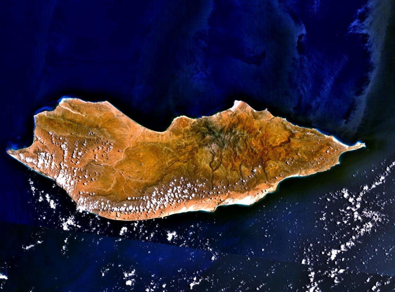 Sokotra: dračince, vysoký endemismus a geologická izolace ostrova, který vypadá jako jiná planeta