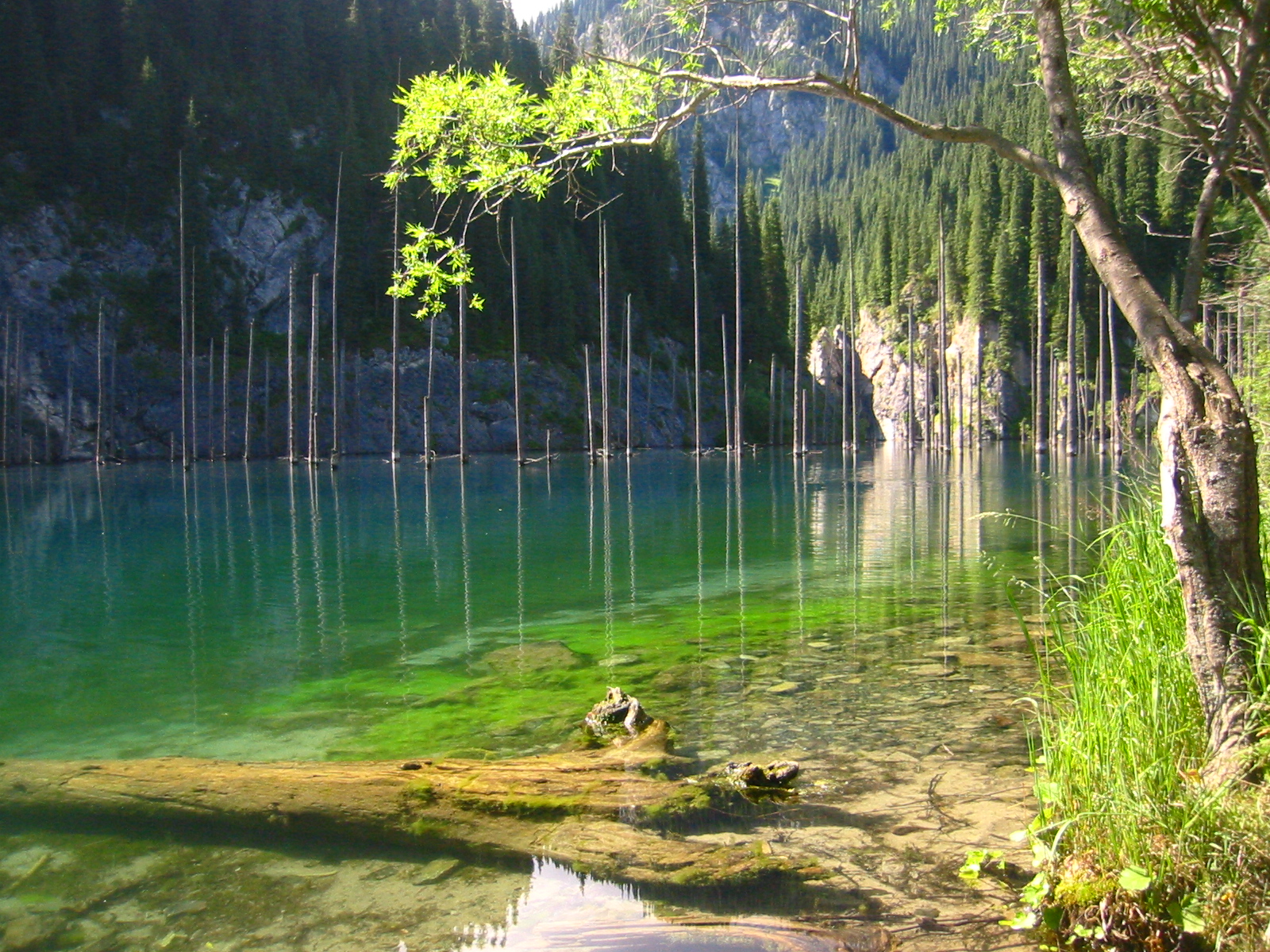 Jezero Kaindy: smrkový les pod hladinou a zemětřesení, které vytvořilo jednu z nejpodivnějších krajin Kazachstánu