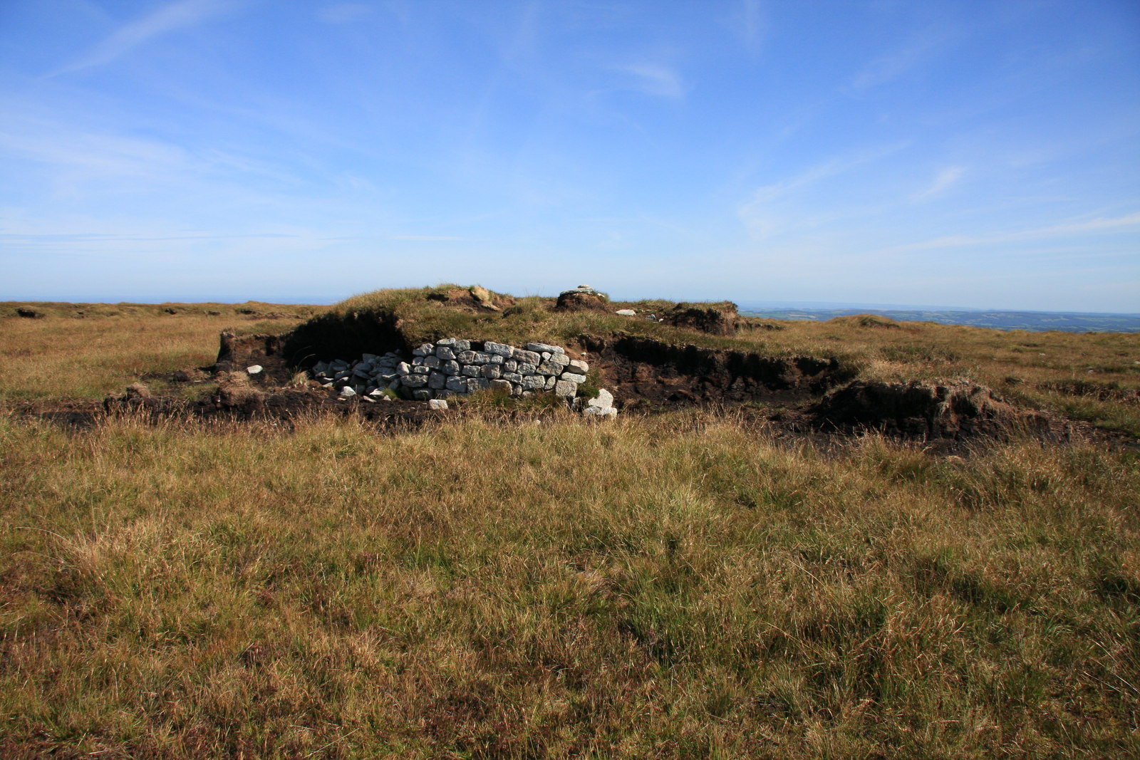 Mohyla Whitehorse Hill: pohřeb mladé ženy a dítěte ve vysokohorské rašelině Dartmooru