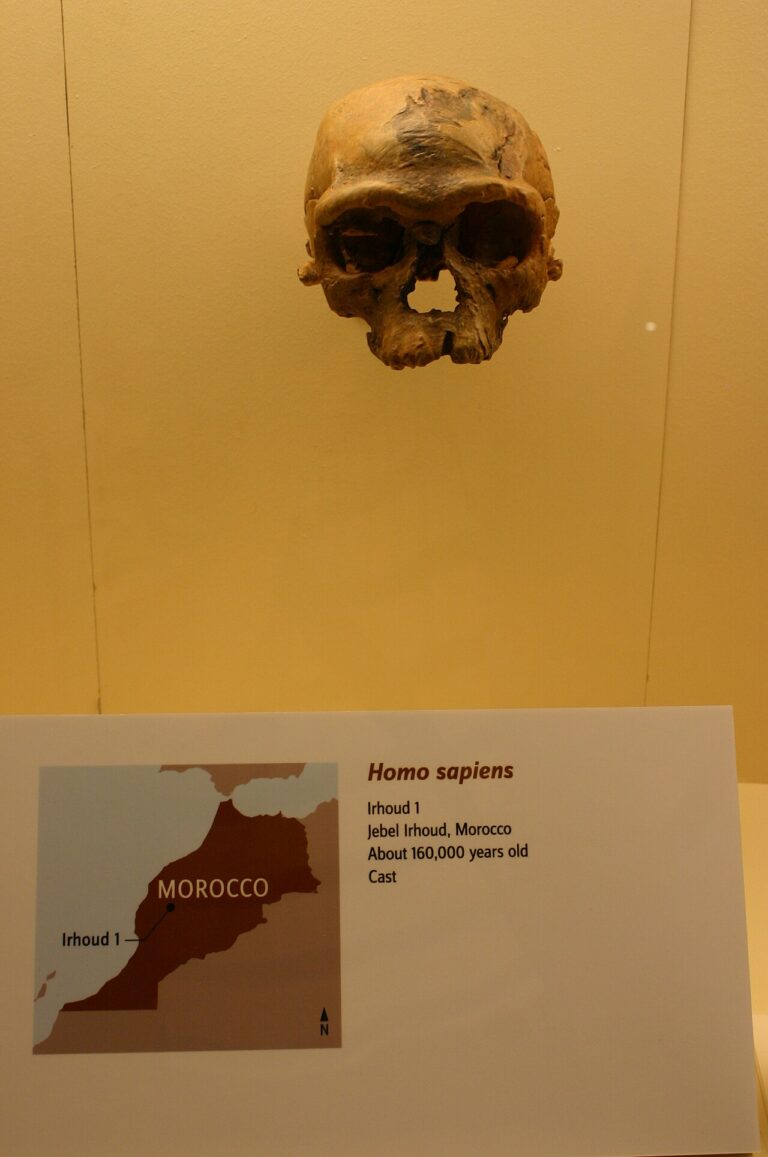 Džabal Irhúd: marocké fosilie, které posunuly počátky druhu Homo sapiens