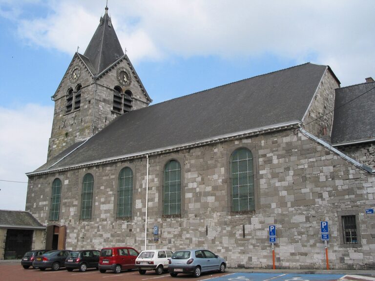 Fleurus 2008: únik jódu-131 z belgického ústavu a zákaz místních potravin
