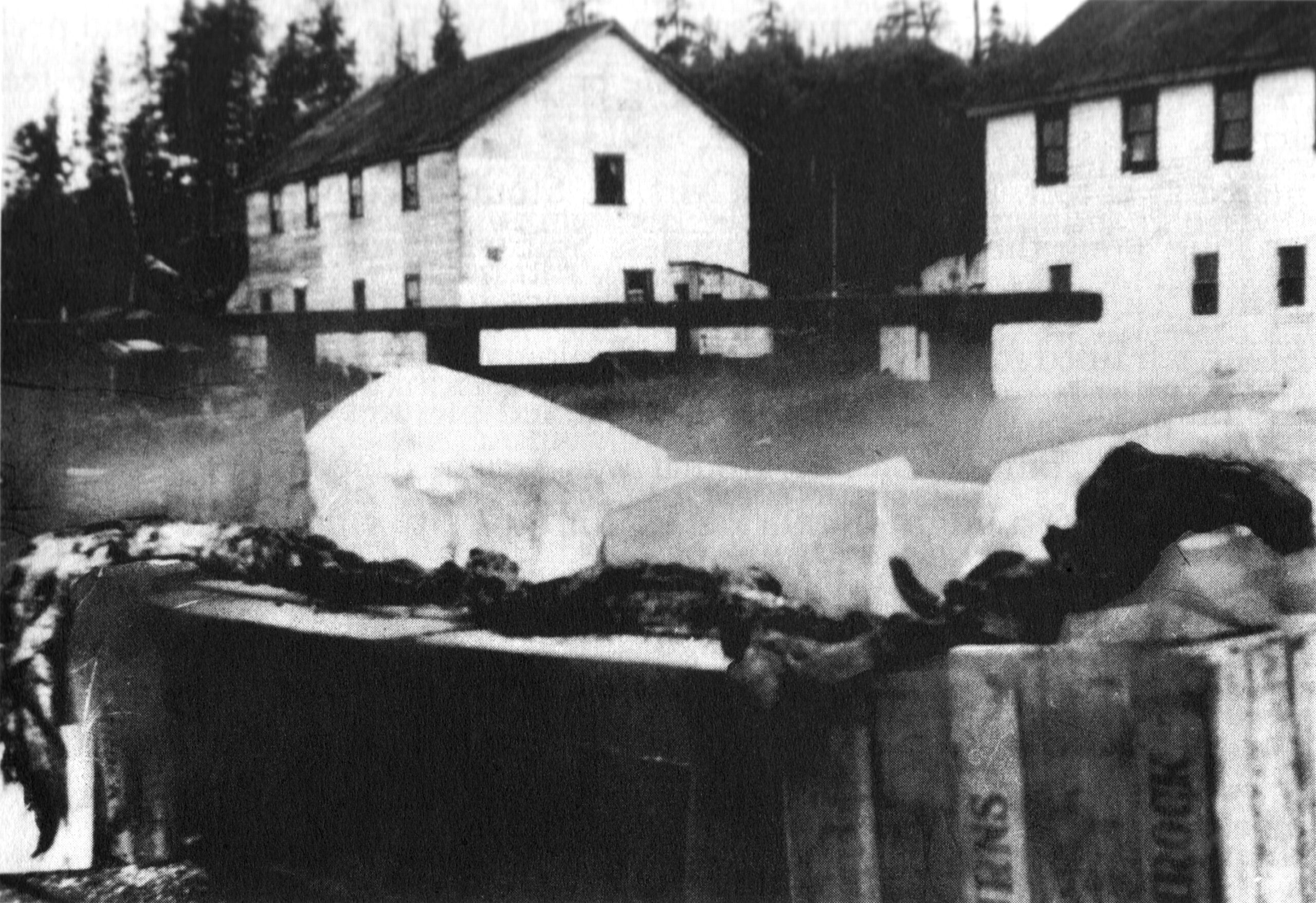 Cadborosaurus: mořský had severozápadního Pacifiku