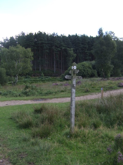 Cannock Chase: britské místo duchů a kryptidů