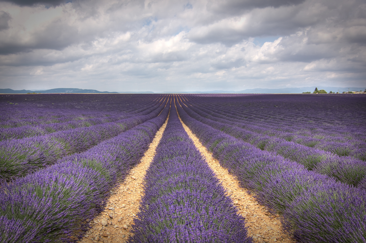 Valensole 1965: setkání farmáře s neznámým objektem