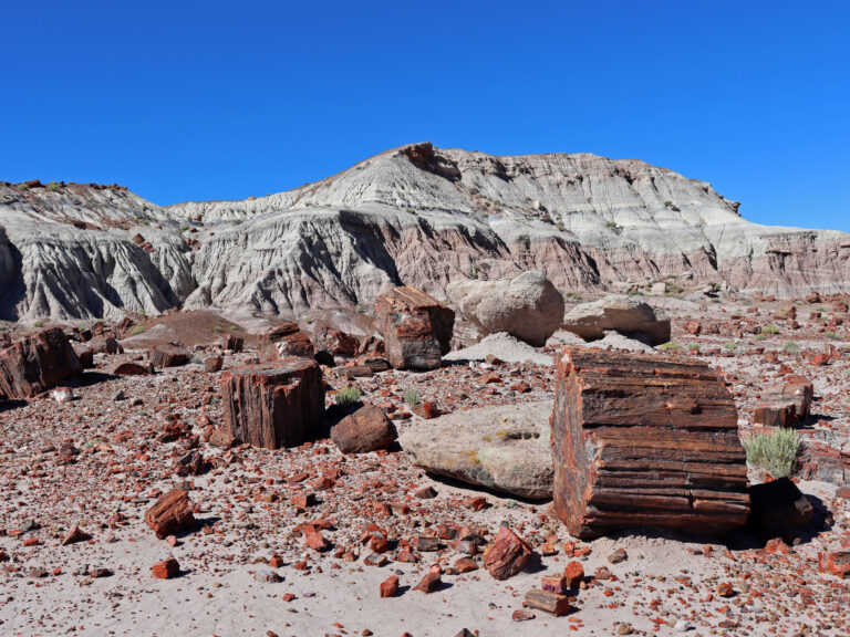 Prokletí Petrified Forest: proč návštěvníci vracejí ukradené kameny